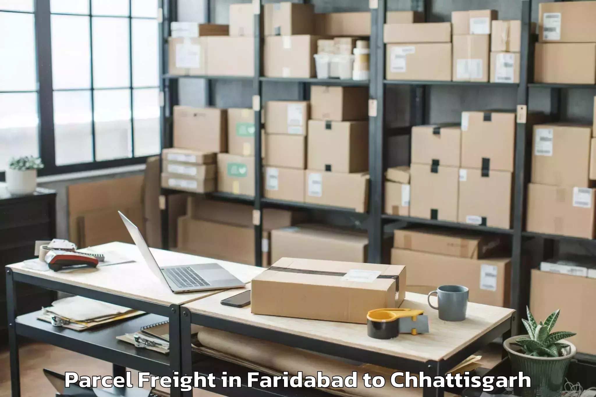 Hassle-Free Faridabad to Icfai University Raipur Durg Parcel Freight